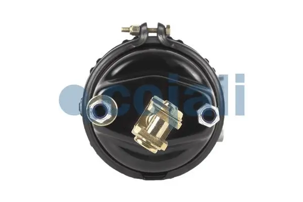 Spring-loaded Cylinder