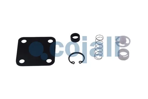 Repair Kit (6012009)