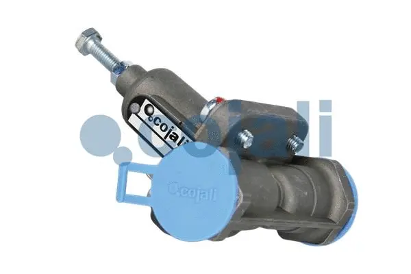 Overflow Valve (2206138)