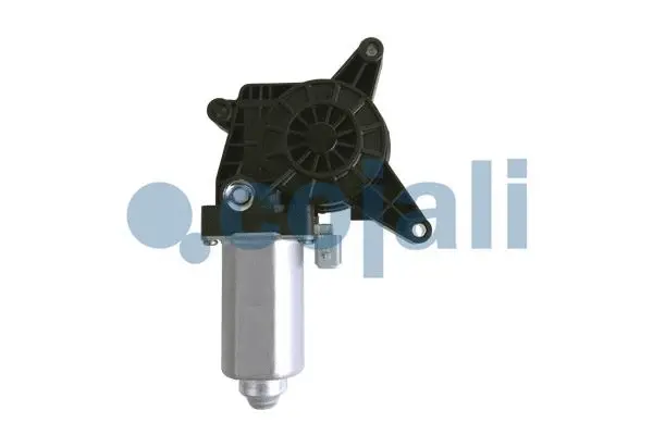 Electric Motor, window regulator (2060002)