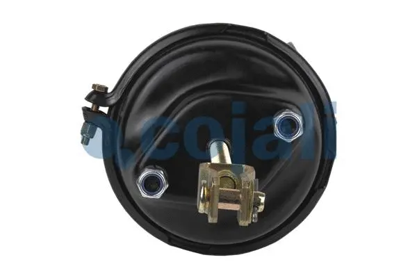 Spring-loaded Cylinder