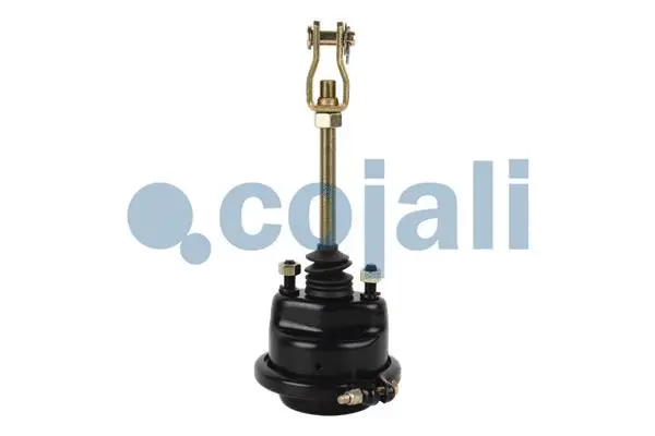 Diaphragm Brake Cylinder