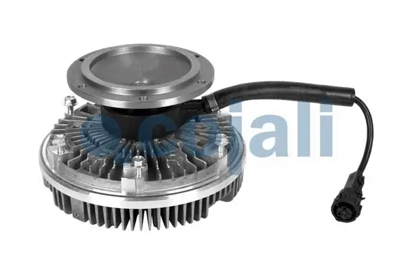 Clutch, radiator fan