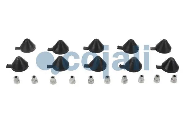 Repair Kit, brake caliper (6084023)