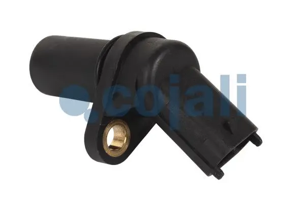 Sensor