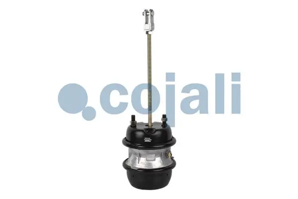 Multi-function Brake Cylinder