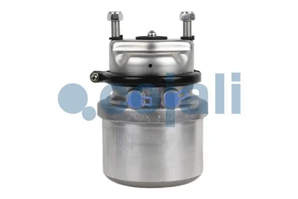 Spring-loaded Cylinder (2351317)