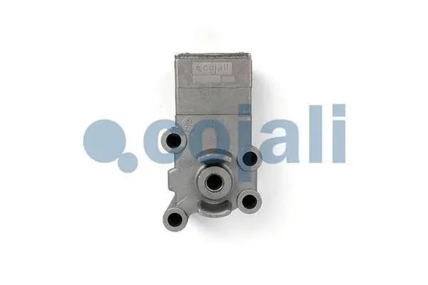 Water Drain Valve