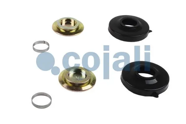 Repair Kit, brake caliper (6086038)