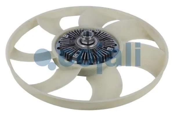 Fan, engine cooling