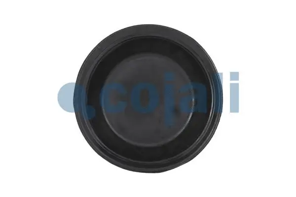 Membrane, spring-loaded cylinder