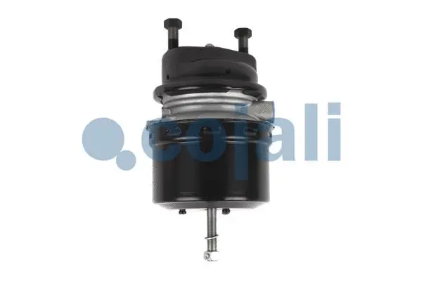 Spring-loaded Cylinder