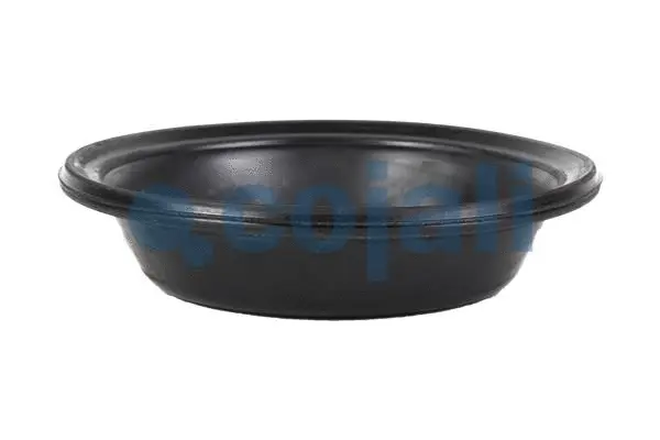 Membrane, spring-loaded cylinder (6001115)