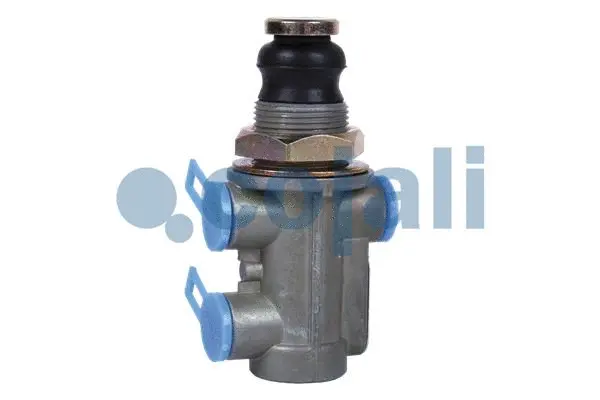 Push Button Valve (2213102)