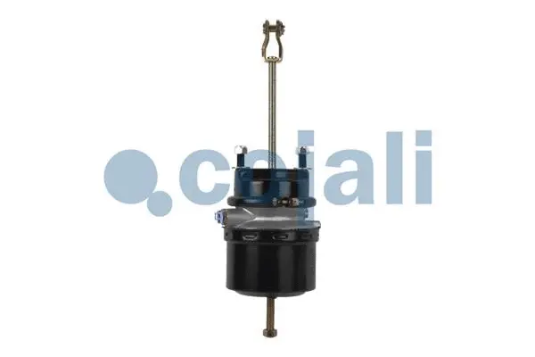 Spring-loaded Cylinder