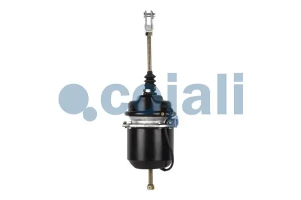 Spring-loaded Cylinder