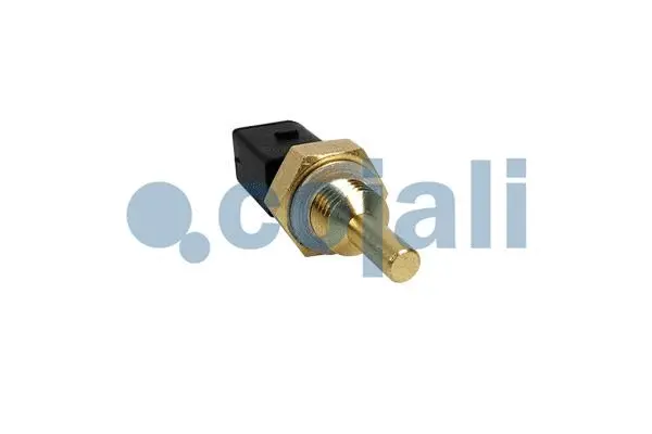 Sensor, fuel temperature