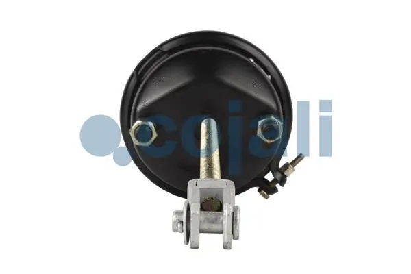 Diaphragm Brake Cylinder