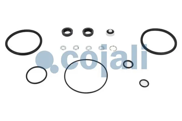 Repair Kit (6014145)