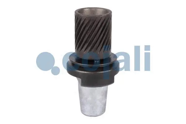Repair Kit (6071001)
