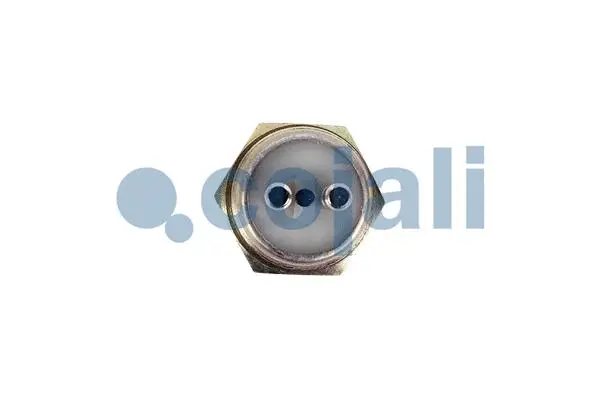 Sensor