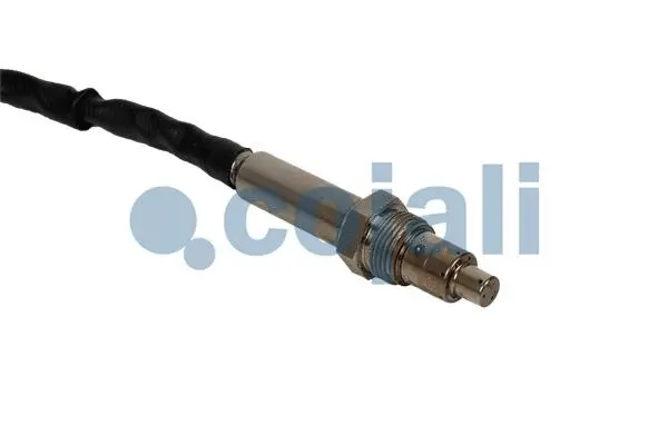 Exhaust Gas Analyzer