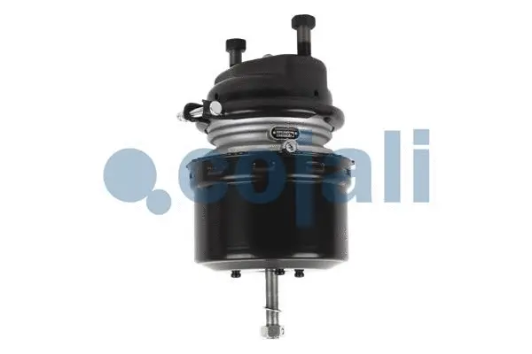 Spring-loaded Cylinder