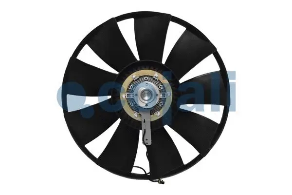 Fan, engine cooling