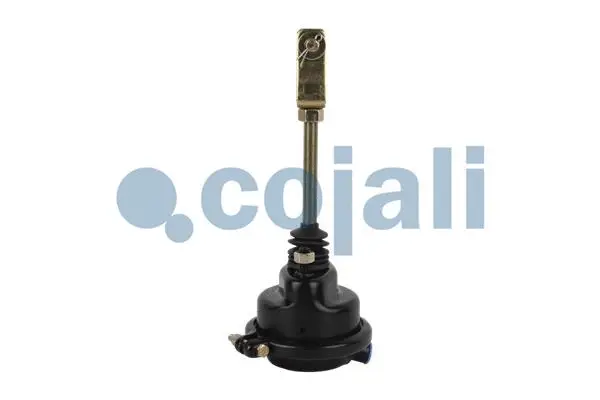 Diaphragm Brake Cylinder