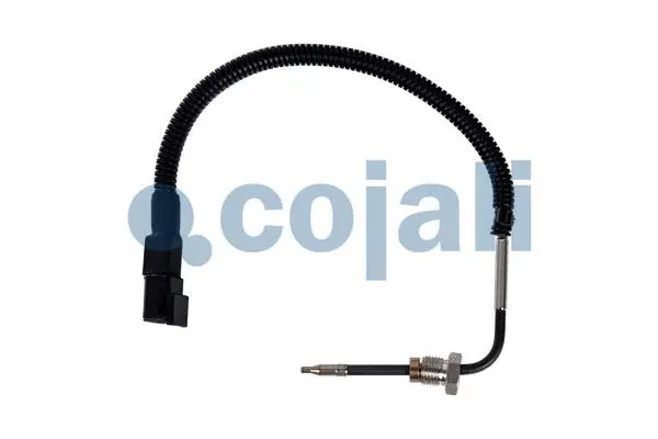 Sensor, exhaust gas temperature (2262065)