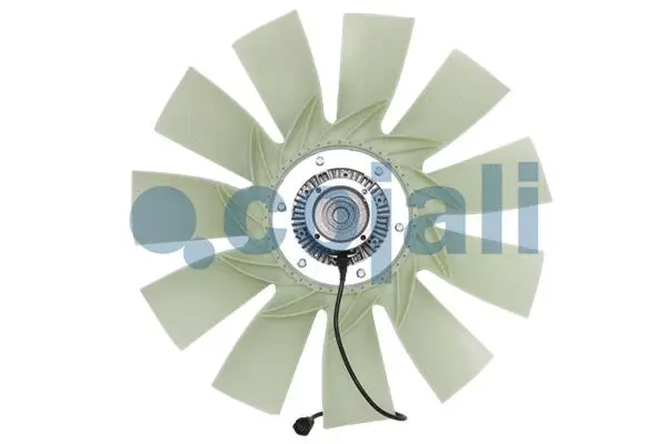Fan, engine cooling