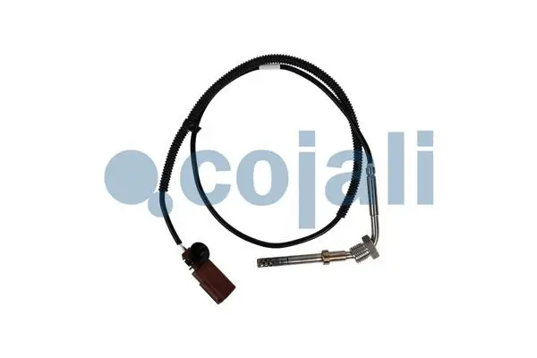 Sensor, exhaust gas temperature (2262023)