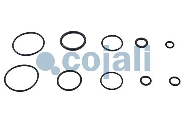 Repair Kit, clutch booster