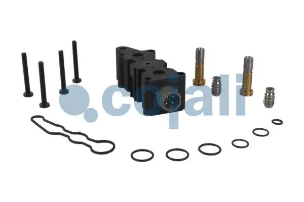 Repair Kit, air dryer (6012291)