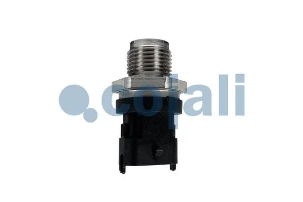 Sensor, fuel pressure (2262001)