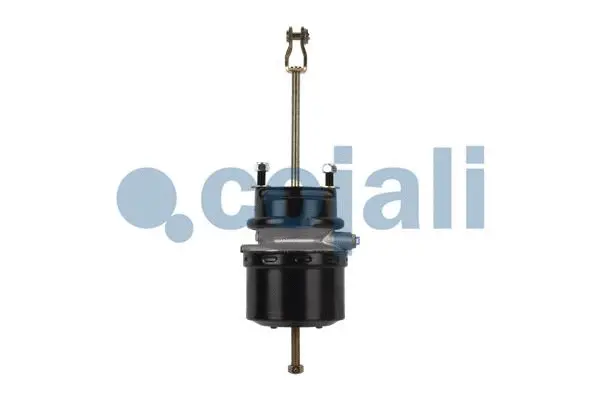 Spring-loaded Cylinder