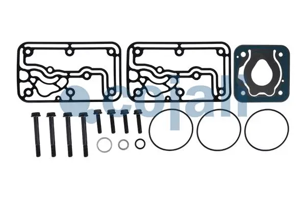 Repair kit, air compressor (25000001)