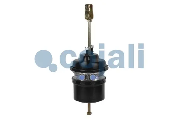 Spring-loaded Cylinder (2251525)