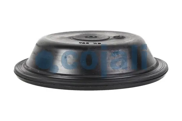 Membrane, spring-loaded cylinder