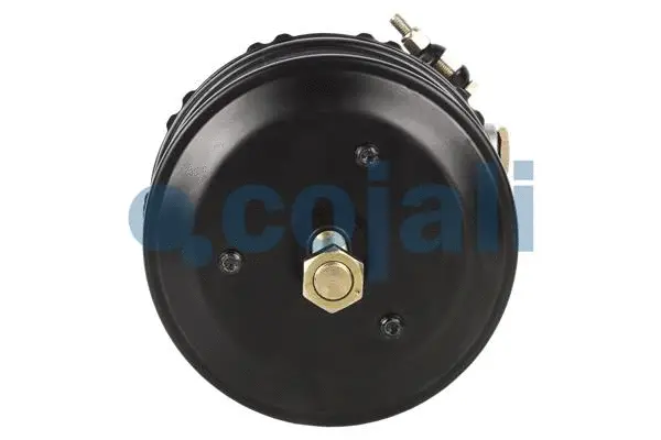 Spring-loaded Cylinder