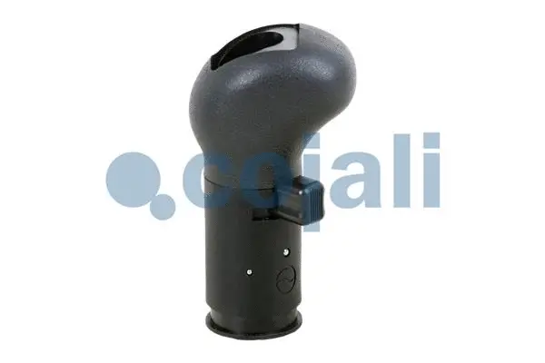 Gear Shift Lever Knob (2880144)