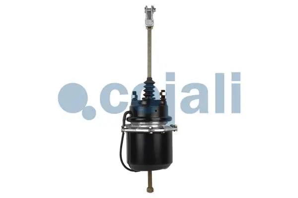 Spring-loaded Cylinder