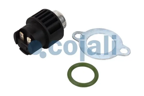 Sensor, crankshaft pulse (2260373)