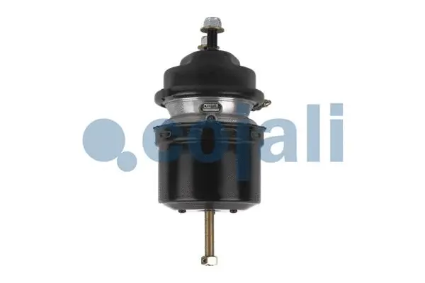 Spring-loaded Cylinder