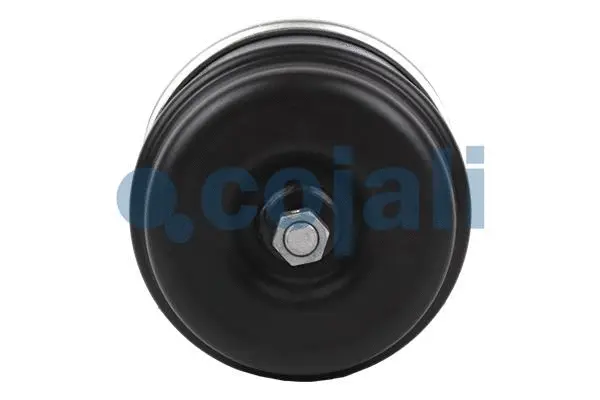 Spring-loaded Cylinder