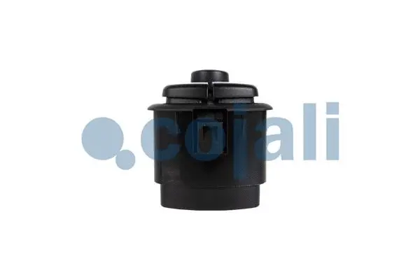 Switch, window regulator