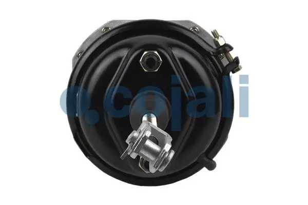 Spring-loaded Cylinder