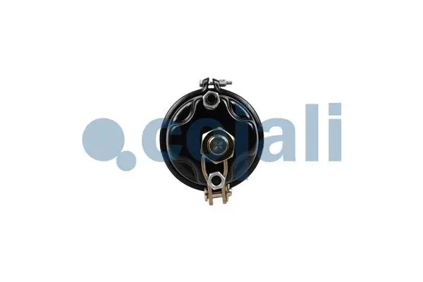 Spring-loaded Cylinder