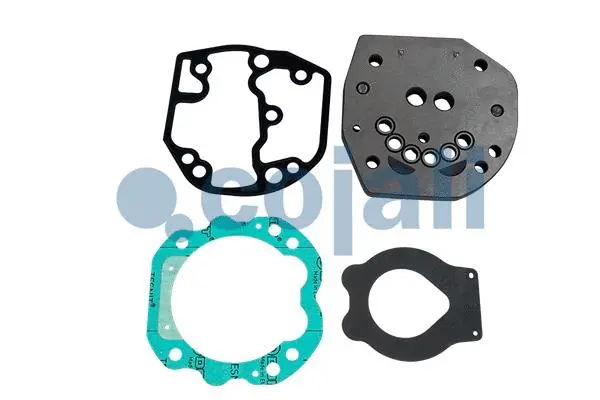 Repair kit, air compressor (25009008)