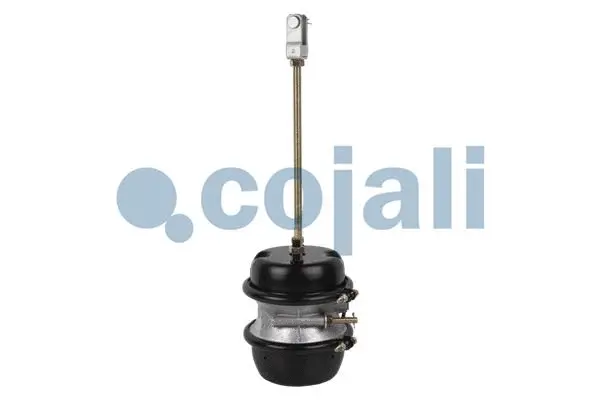 Multi-function Brake Cylinder